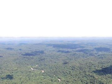 VENTA HACIENDA CON BOSQUE PRIMARIO DENSO ESMERALDAS - SAN LORENZO SECTOR LA CAROLINA  6.586HA $3'800.000 DÓLARES