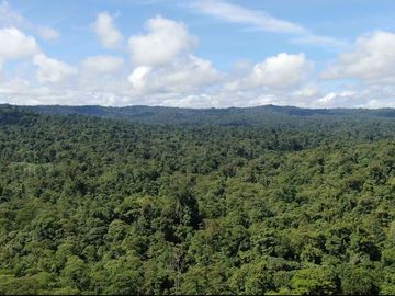 VENTA HACIENDA CON BOSQUE PRIMARIO DENSO ESMERALDAS - SAN LORENZO SECTOR LA CAROLINA  6.586HA $3'800.000 DÓLARES