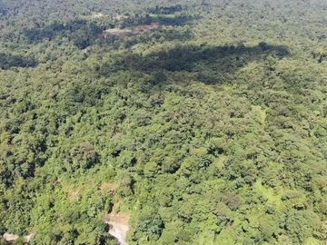 VENTA HACIENDA CON BOSQUE PRIMARIO DENSO ESMERALDAS - SAN LORENZO SECTOR LA CAROLINA  6.586HA $3'800.000 DÓLARES