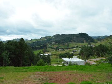 Lujosa Casa de 4 Dormitorios con Amplia Area Verde en Exclusiva Urbanización El Álamo