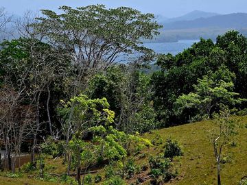 Finca1 Titulada de 4,925 M2 Frente al Lago. Fincanciada SIN INTERES Desde $250: