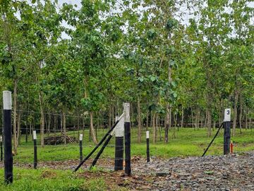 Finca1 Titulada de 4,925 M2 Frente al Lago. Fincanciada SIN INTERES Desde $250: