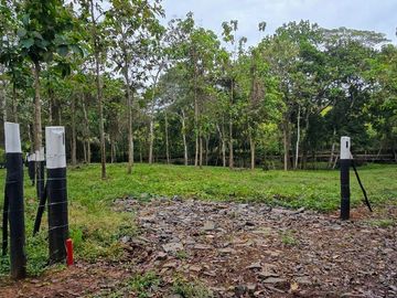 Finca1 Titulada de 4,925 M2 Frente al Lago. Fincanciada SIN INTERES Desde $250: