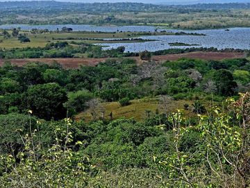Finca1 Titulada de 4,925 M2 Frente al Lago. Fincanciada SIN INTERES Desde $250: