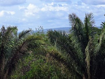 Finca1 Titulada de 4,925 M2 Frente al Lago. Fincanciada SIN INTERES Desde $250: