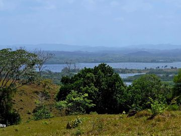 Finca1 Titulada de 4,925 M2 Frente al Lago. Fincanciada SIN INTERES Desde $250:
