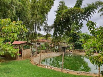 VENTA HERMOSA FINCA LA CUMBRE -SECTOR ARBOLEDAS