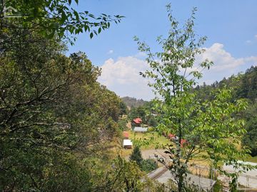 VENTA DE TERRENO EN CASAS BLANCAS, MINERAL DEL CHICO TOTALMENTE BOSQUE