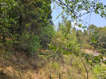 VENTA DE TERRENO EN CASAS BLANCAS, MINERAL DEL CHICO TOTALMENTE BOSQUE