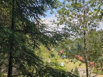 VENTA DE TERRENO EN CASAS BLANCAS, MINERAL DEL CHICO TOTALMENTE BOSQUE