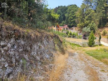 VENTA DE TERRENO EN CASAS BLANCAS, MINERAL DEL CHICO TOTALMENTE BOSQUE