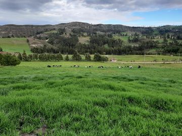Hacienda lechera ganadera de venta en Nabón a 1 hora de Cuenca completamente tecnificada