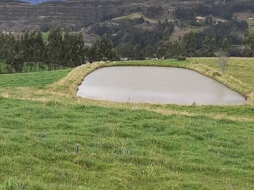 Hacienda lechera ganadera de venta en Nabón a 1 hora de Cuenca completamente tecnificada
