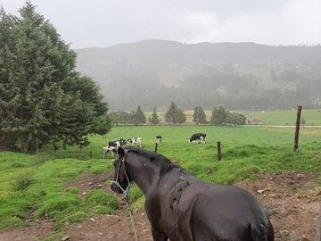 Hacienda lechera ganadera de venta en Nabón a 1 hora de Cuenca completamente tecnificada