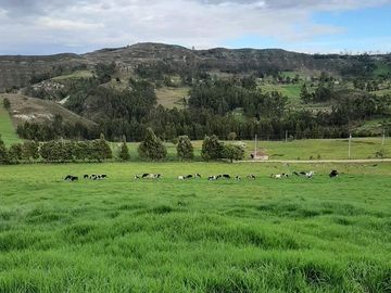 Hacienda lechera ganadera de venta en Nabón a 1 hora de Cuenca completamente tecnificada