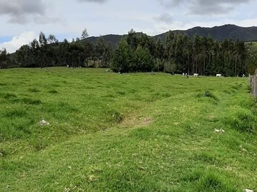 Hacienda lechera ganadera de venta en Nabón a 1 hora de Cuenca completamente tecnificada