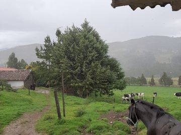 Hacienda lechera ganadera de venta en Nabón a 1 hora de Cuenca completamente tecnificada