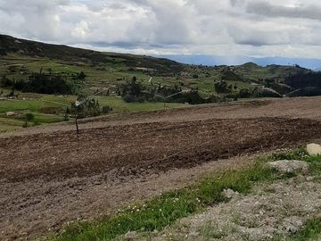 Hacienda lechera ganadera de venta en Nabón a 1 hora de Cuenca completamente tecnificada