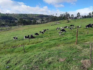 Hacienda lechera ganadera de venta en Nabón a 1 hora de Cuenca completamente tecnificada