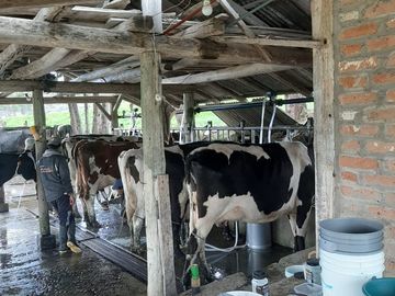 Hacienda lechera ganadera de venta en Nabón a 1 hora de Cuenca completamente tecnificada