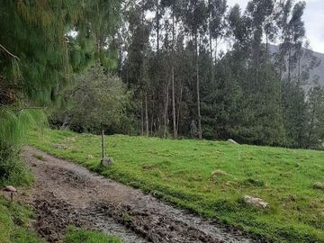 Hacienda lechera ganadera de venta en Nabón a 1 hora de Cuenca completamente tecnificada