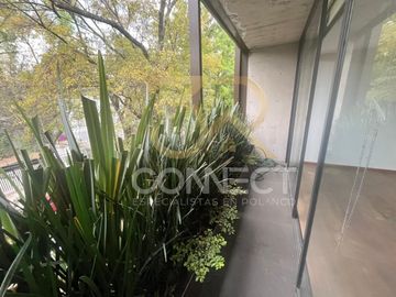 Departamento en Renta  en Polanco 3R/3.5B/4E - Terraza - 270 m2