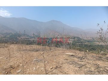 Venta De Terreno En Pendiente / Collambay / 6,068 M2 / 80,000 Soles
