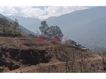 Venta De Terreno En Pendiente / Collambay / 6,068 M2 / 80,000 Soles