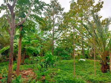 Dijual Tanah Kawasan Industri Jaten Karanganyar