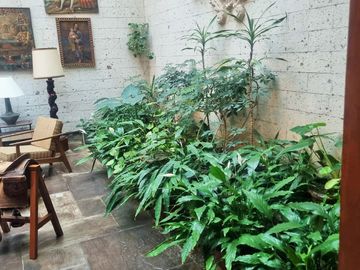 HERMOSA CASA EN VENTA EN LA CALLE MANUEL UGARTECHE - SELVA ALEGRE