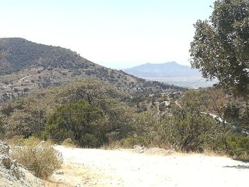 TERRENO EN VENTA “ESTANZUELA -MINERAL DEL CHICO”
