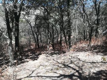TERRENO EN VENTA “ESTANZUELA -MINERAL DEL CHICO”