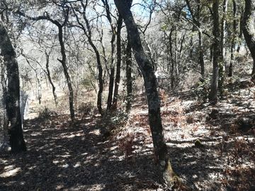 TERRENO EN VENTA “ESTANZUELA -MINERAL DEL CHICO”
