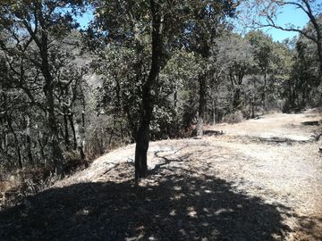 TERRENO EN VENTA “ESTANZUELA -MINERAL DEL CHICO”