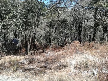 TERRENO EN VENTA “ESTANZUELA -MINERAL DEL CHICO”