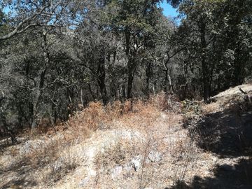 TERRENO EN VENTA “ESTANZUELA -MINERAL DEL CHICO”