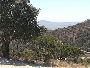 TERRENO EN VENTA “ESTANZUELA -MINERAL DEL CHICO”