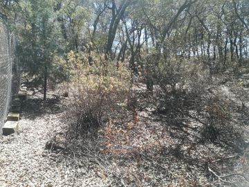 TERRENO EN VENTA “ESTANZUELA -MINERAL DEL CHICO”