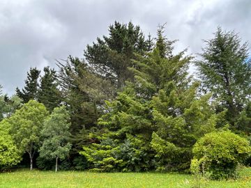 VENDE CASA EN CONDOMINIO 5D. 5B CIUDAD DE PUERTO VARAS
