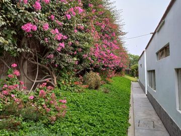 Venta Casa de Campo: Comodidad, Naturaleza y Espacios Acogedores en Pachacamac