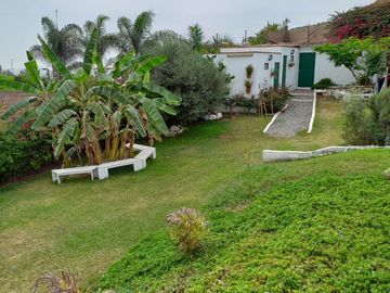 Venta Casa de Campo: Comodidad, Naturaleza y Espacios Acogedores en Pachacamac