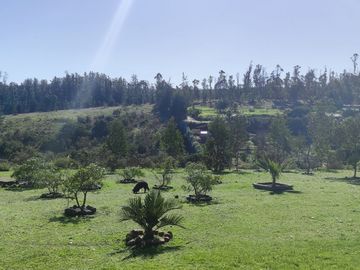 PARCELA SOÑADA, CON CASA, SAN ANTONIO, SECTOR TRANQUE SAN JUAN