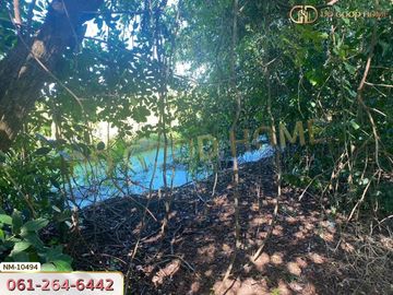 📢Land for sale Lam Luk Ka District, 1 rai 8 sq w, Pathum Thani