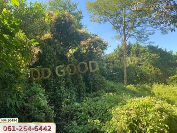 📢Land for sale Lam Luk Ka District, 1 rai 8 sq w, Pathum Thani