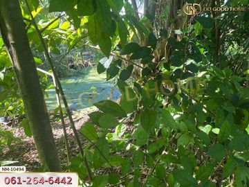 📢Land for sale Lam Luk Ka District, 1 rai 8 sq w, Pathum Thani