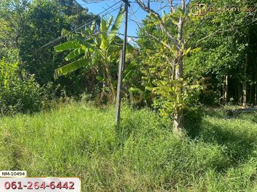📢Land for sale Lam Luk Ka District, 1 rai 8 sq w, Pathum Thani