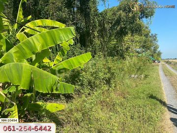📢Land for sale Lam Luk Ka District, 1 rai 8 sq w, Pathum Thani