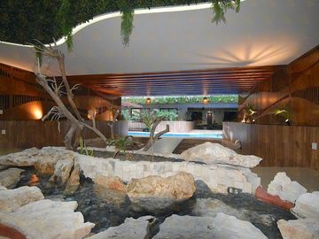 Tulum PH, con Roof Top con Alberca Privada Av.Coba cerca Chedrahui Select