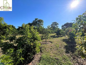 Casa Campestre en Venta – Montenegro Quindío