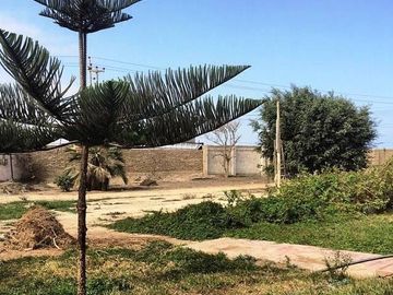 Venta de Terreno Comercial en Grocio Prado, Chincha, Ica